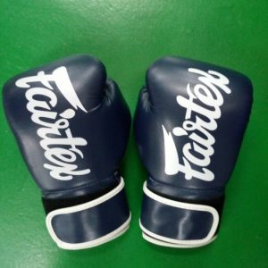 Fairfax blue Muay Thai Gloves