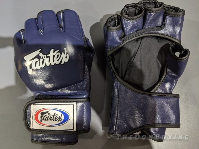 Fairtex Grappling gloves for real fighting blue FGV13 (2)